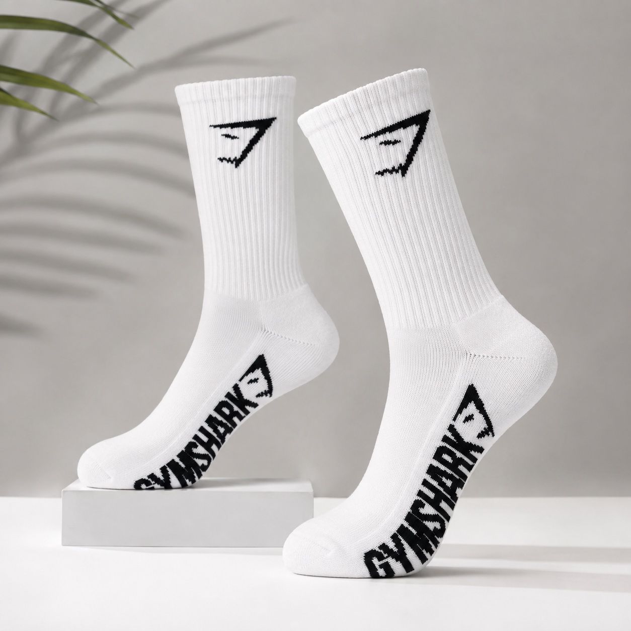 Gym Shark - White